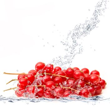 fresh ribes falling in water