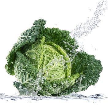 Fresh savoy cabbage falling in water