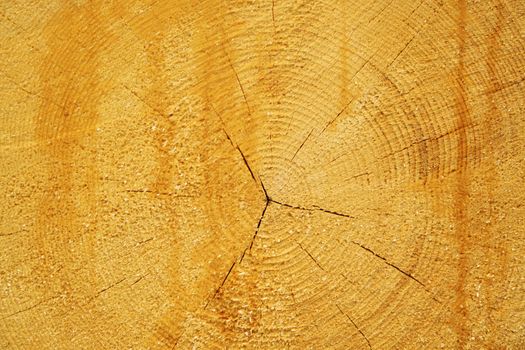 a wooden background for many applications