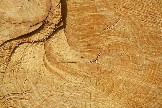 a wooden background for many applications