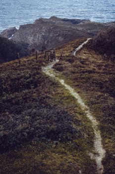 Narrow path between dark brown grass going through the hills to the near sea