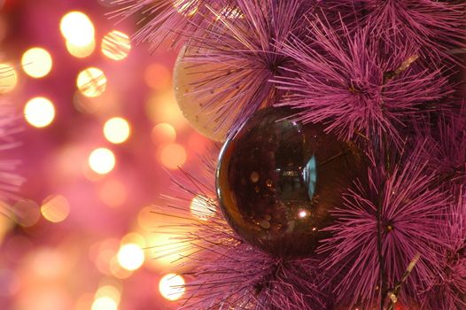 In images Shiny Christmas red ball hanging on pine branches with festive background