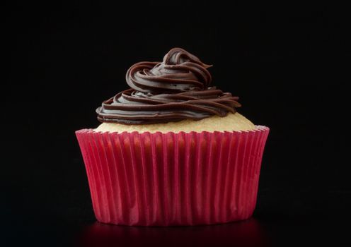 Vanilla cupcake with chocolate icing in nice paper mold, pink background