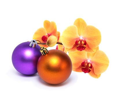 Nice Christmas decoration. Yellow orchid flower with Christmas balls