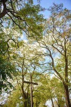 Church exterior during wedding ceremony. Blue sky with sunny weather