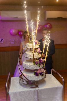 Delicious Wedding Cake at the party. Smoke and fire effects