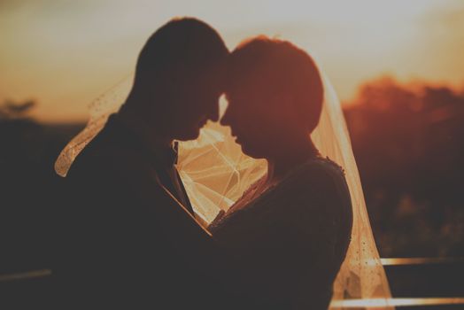 Bride and groom at a photo session in the nature.