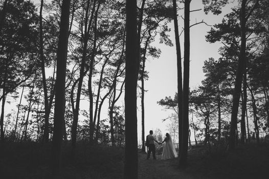 Bride and groom at a photo session in the nature. Baltic sea beach.