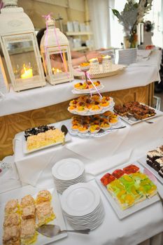 Delicious sweets on candy buffet. Wedding bakes on trays.