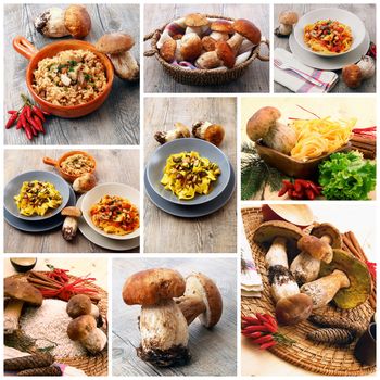 mushrooms collage delicious on white background
