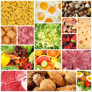 gastronomy collage on white background
