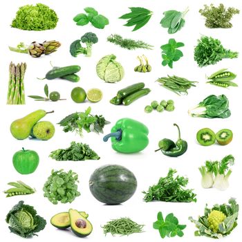 global green gastronomy collage on white background