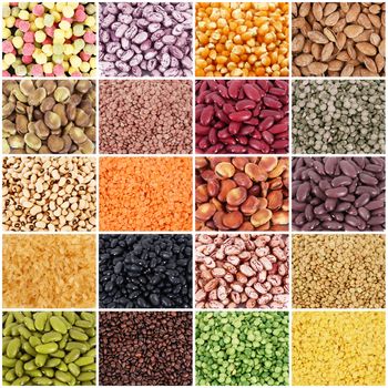 legumes collage on white board background