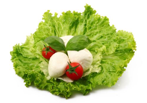 mozzarella salad on white background