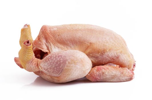 raw chicken on white background
