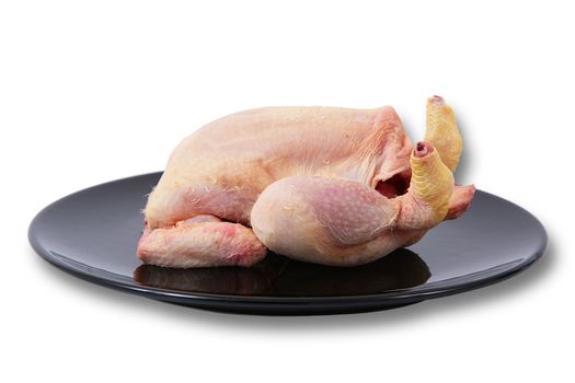 raw chicken on white background
