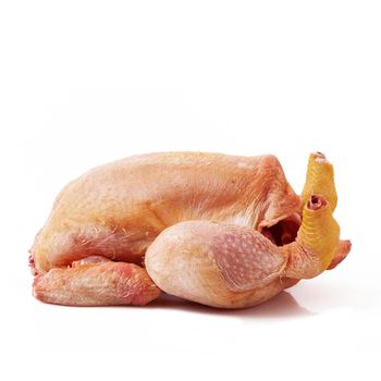 raw chicken on white background