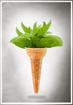 a Delicious ice cream cone with basil taste