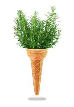a Delicious ice cream cone with rosemary taste