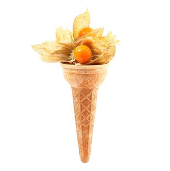 winter cherry like ice cream on white background