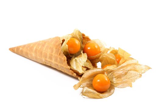 winter cherry like ice cream on white background