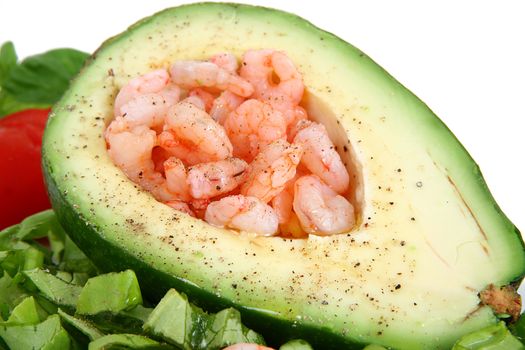 avocado with shrimp on white background