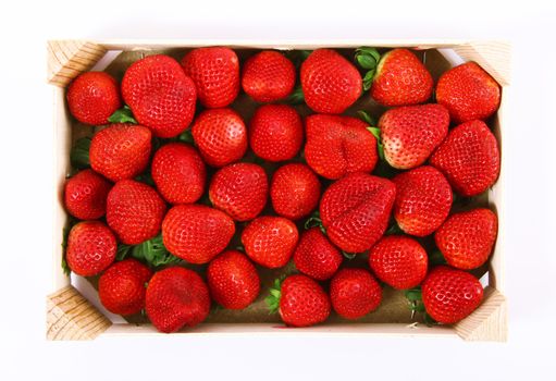 fresh strawberries on white background