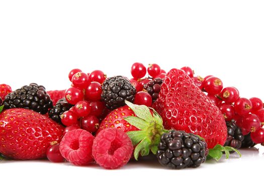 fresh fruit berries on white background