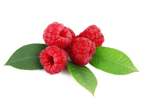 fresh raspberries on white background