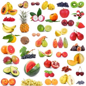 fresh fruit collage on white background