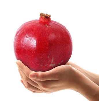 pomegranate in the hands on white background