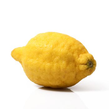 original lemon of Sorrento on white background