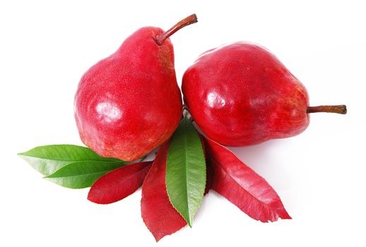 fresh red pears on white background