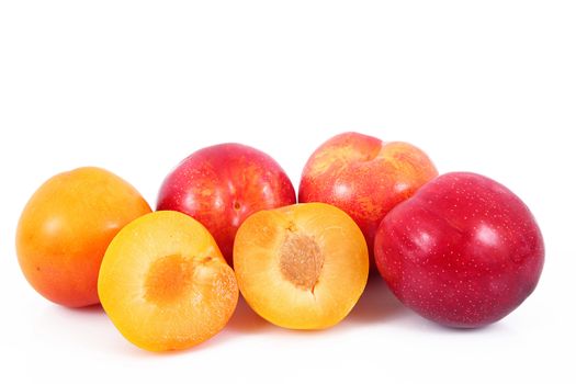 fresh plums on white background