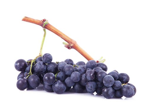 Bunch of grapes on white background