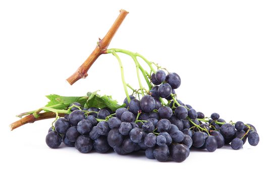 Bunch of grapes on white background