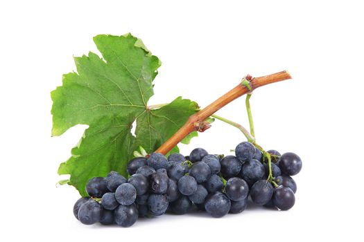 Bunch of grapes on white background