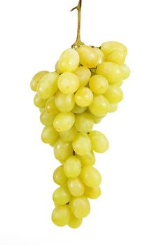 Bunch of grapes on white background