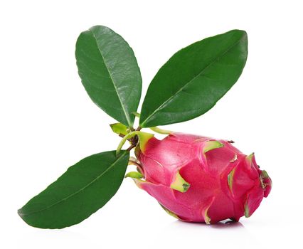 fresh red pitaya on white background