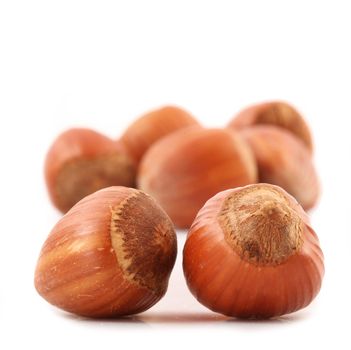 fresh hazelnuts on white background