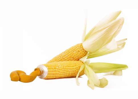 corn like a tube of paint on white background