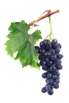 Bunch of grapes on white background