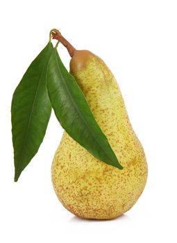 fresh pear on white background