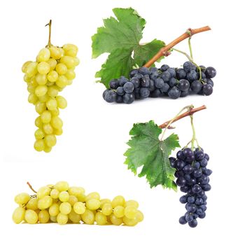 Bunch of grapes collage on white background