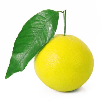 fresh grapefruit on white background