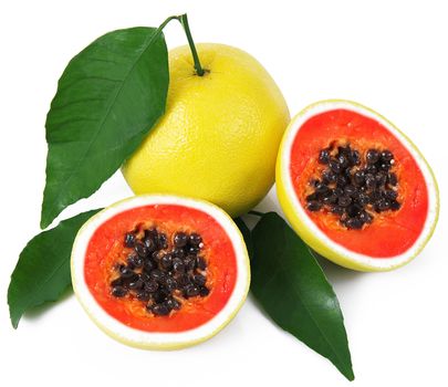 strange ibrid fruit papaya-grapefruit