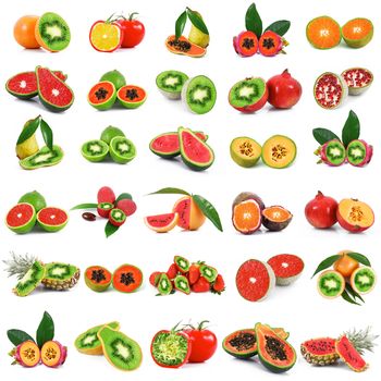 strange ibrid vegetable fruit collage on white background