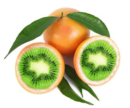 strange ibrid fruit kiwi-grapefruit