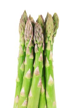 fresh asparagus on white background