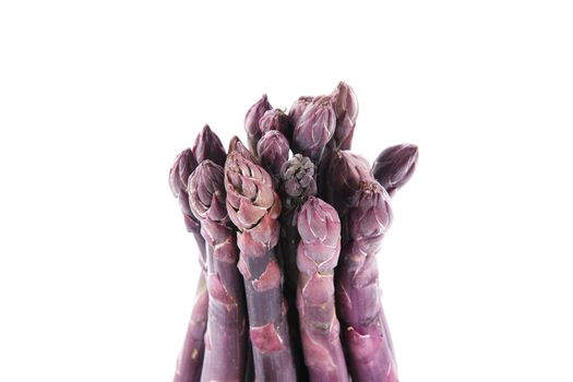 fresh red asparagus on white background